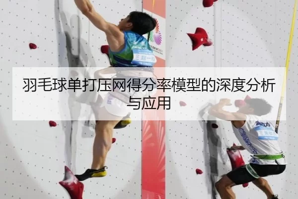 羽毛球单打压网得分率模型的深度分析与应用
