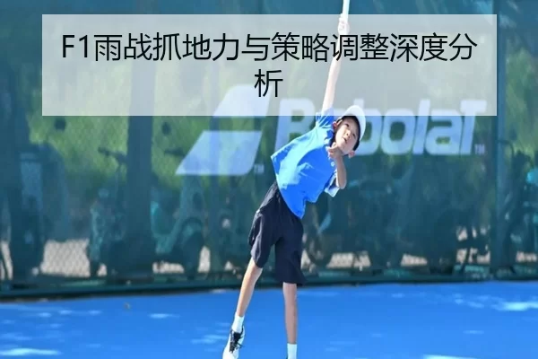 F1雨战抓地力与策略调整深度分析